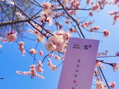 -吉林大学(南岭校区)