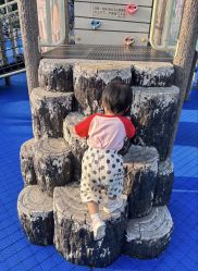 -深圳市儿童乐园