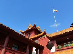-深圳仙湖植物园