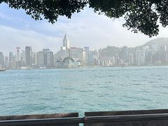 -九龙公园