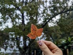 -广东温泉宾馆