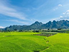 -万峰林风景区