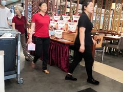 -东方饺子王臻味餐厅(新嘉坡城店)