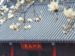 -灵谷景区