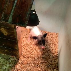 -酷嗒动物文化乐园(cutezoo西溪乐天城店)