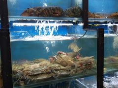 水产区-老东镇啤酒屋海鲜加工·蒸汽海鲜·海鲜烧烤(台东店)