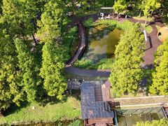 -黄海国家森林公园