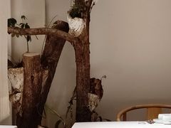 -纳地素食(石门公园店)