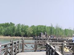 -野鸭湖国家湿地公园