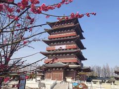 -祥源·阜阳生态乐园