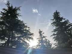 -洨河生态公园