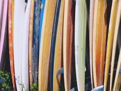 -西涌国际滨海旅游区