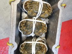 -蟹天蟹地农家菜·阳澄湖大闸蟹(浅水湾店)