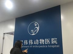 -伟伟宠物医院·CT影像中心·瑞派犬猫综合性门诊(汉口总院)