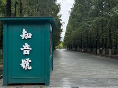 -武汉知音号