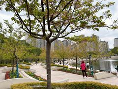-新江湾城公园