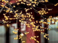 -杭州上天竺法喜讲寺