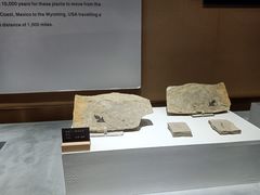 -抱璞文化展示中心