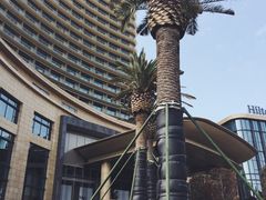 -舟山希尔顿酒店