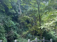-桂林古东瀑布景区