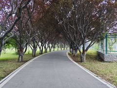 -石家庄市植物园
