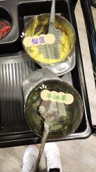 点击看大图 -藤野造型