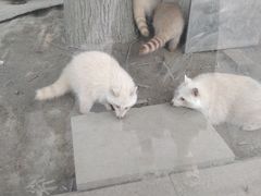 -国色天乡三期陆地乐园