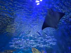 -华夏文旅海洋公园