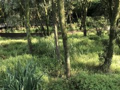 -西湖风景区-江洋畈生态公园