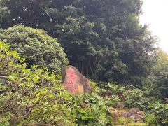 -乌山风景区