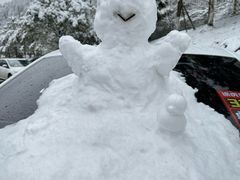 -西岭雪山大飞水景区