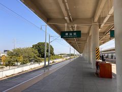 -龙眼南白粥六顺白粥