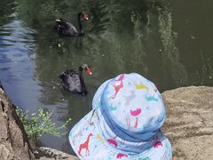-大青山野生动物园