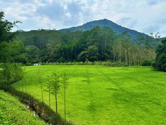 -黄埔油麻山森林公园