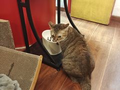 -H立方实景剧情密室(天河旗舰店)