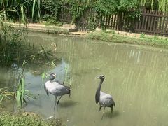 -上方山森林动物世界