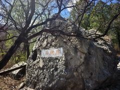 -阳台山自然风景区