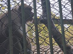 -合肥野生动物园