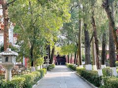 -南岳衡山风景名胜区-南岳大庙