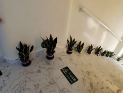 -海涛医疗美容·面部抗衰·注射美鼻