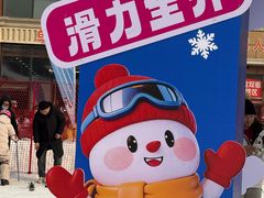 -蓟洲国际滑雪场
