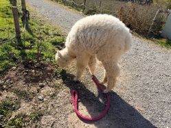 -DORA kids 朵拉儿童摄影花园店