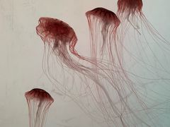 -沈阳海洋探索中心