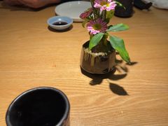 -初花·日本料理