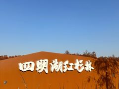 -四明湖