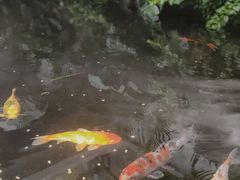 -漫笙舍Manse·咖啡·民宿