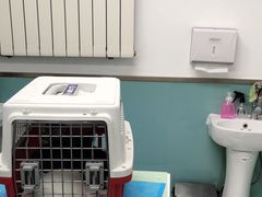 -欧奕国际动物医院