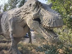 -银肯塔拉沙漠生态旅游景区