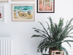 -剪刀石头布家居广场