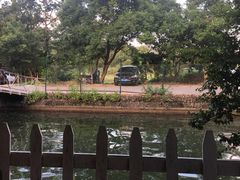 -水库河鲜村